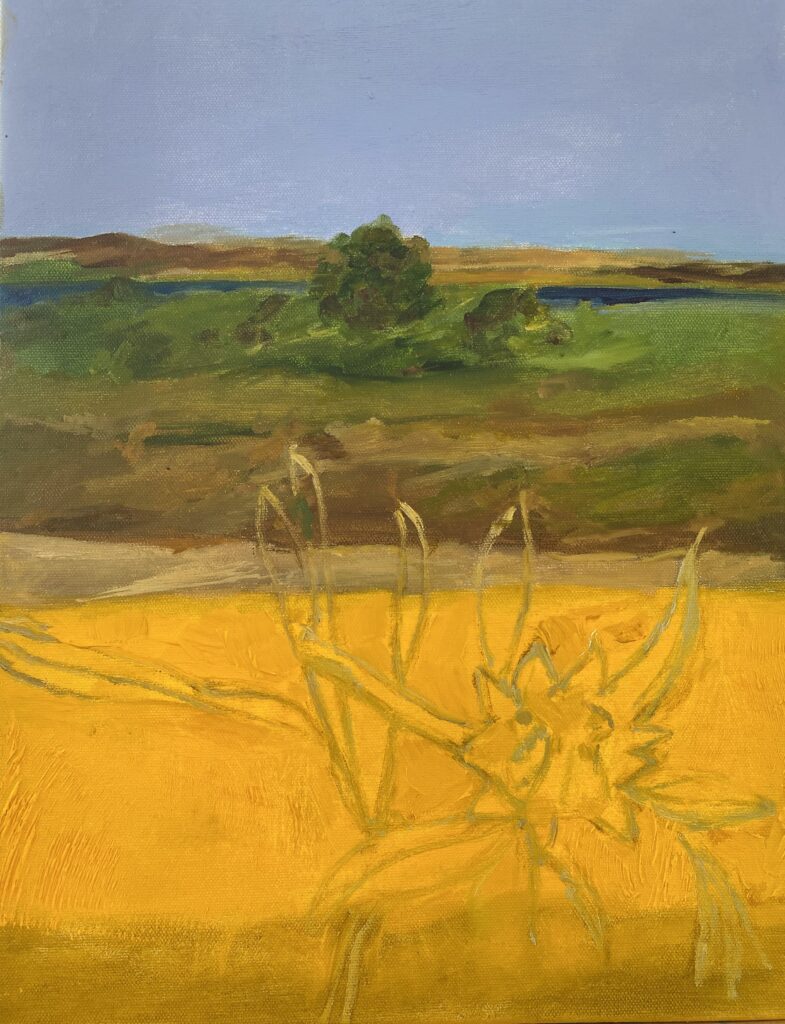 Κρινακι του Δεκαπενταύγουστου 40 x 30 c.m. Λάδι σε καμβά. 2024